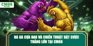 Đá gà cựa dao và chiến thuật đặt cược thắng lớn tại CM88